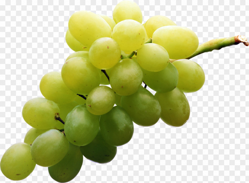 Grape Sultana Muscat Table Seedless Fruit PNG