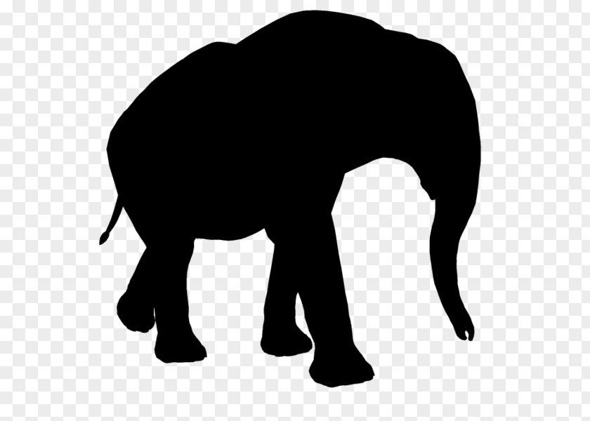 Indian Elephant African Vector Graphics Illustration PNG
