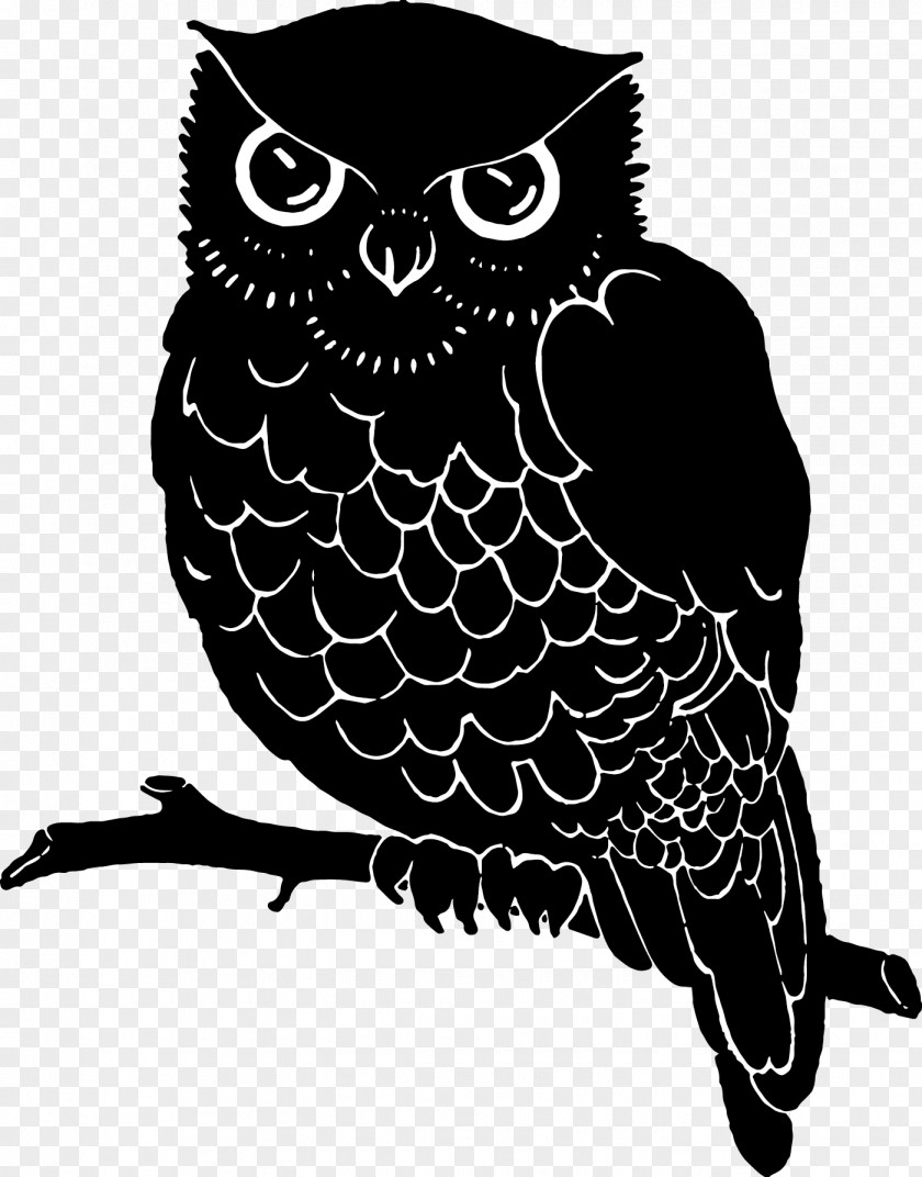 Owl Beak White Font PNG