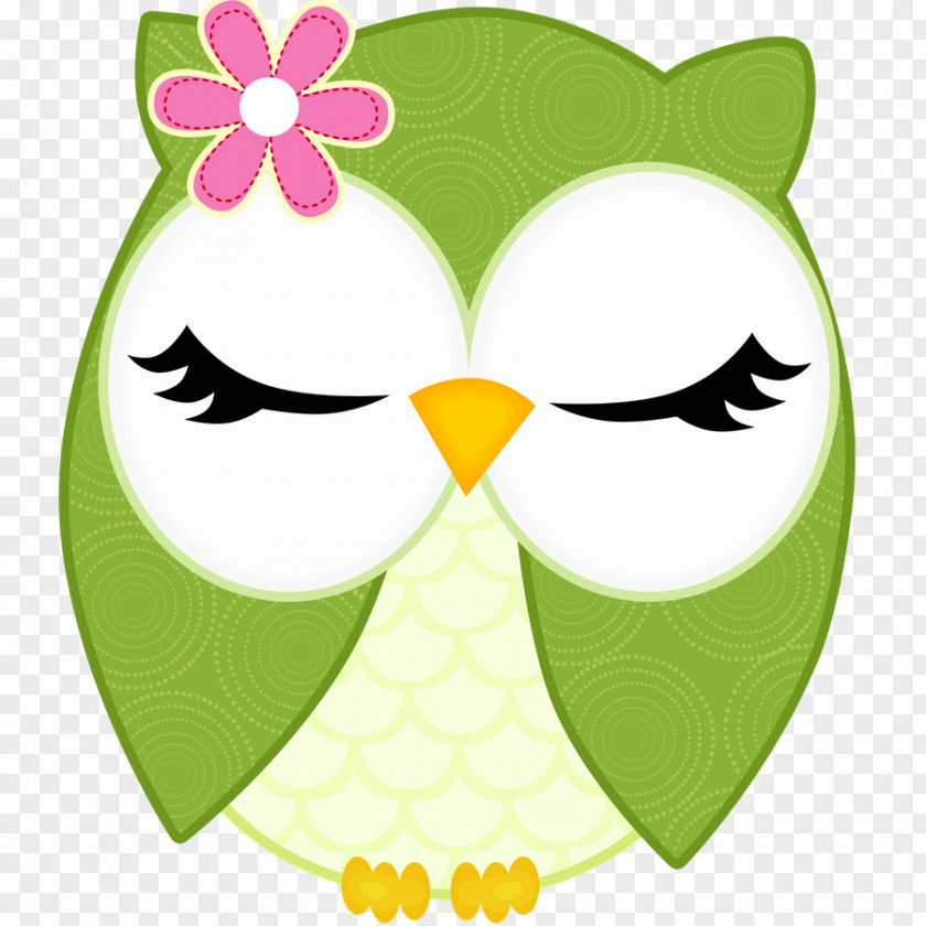 Owl Little Drawing Clip Art Image PNG