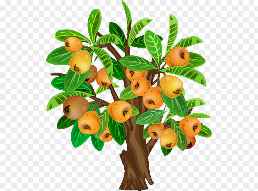 Pear Fruit Tree Java Apple PNG