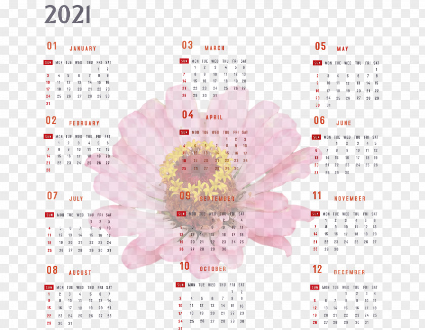 Petal Flower Meter Calendar System PNG