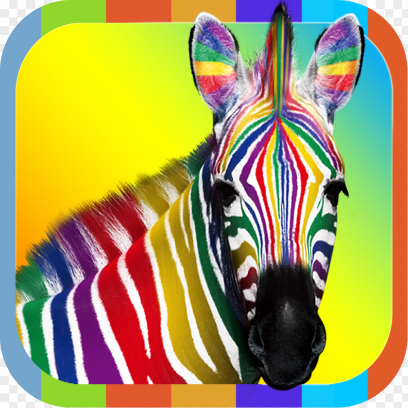 Zebra IPhone 4S Desktop Wallpaper PNG
