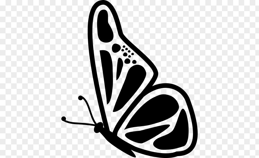 Butterfly Drawing Icons Monarch Clip Art Insect PNG