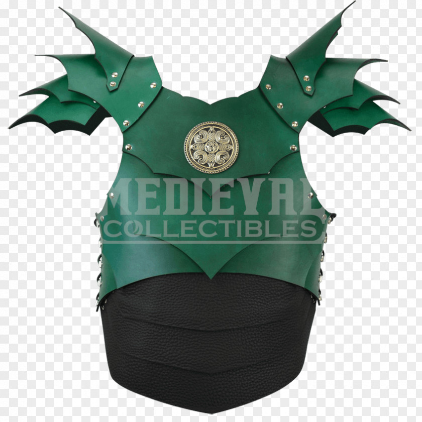 Dragon Age Armour Green Character PNG