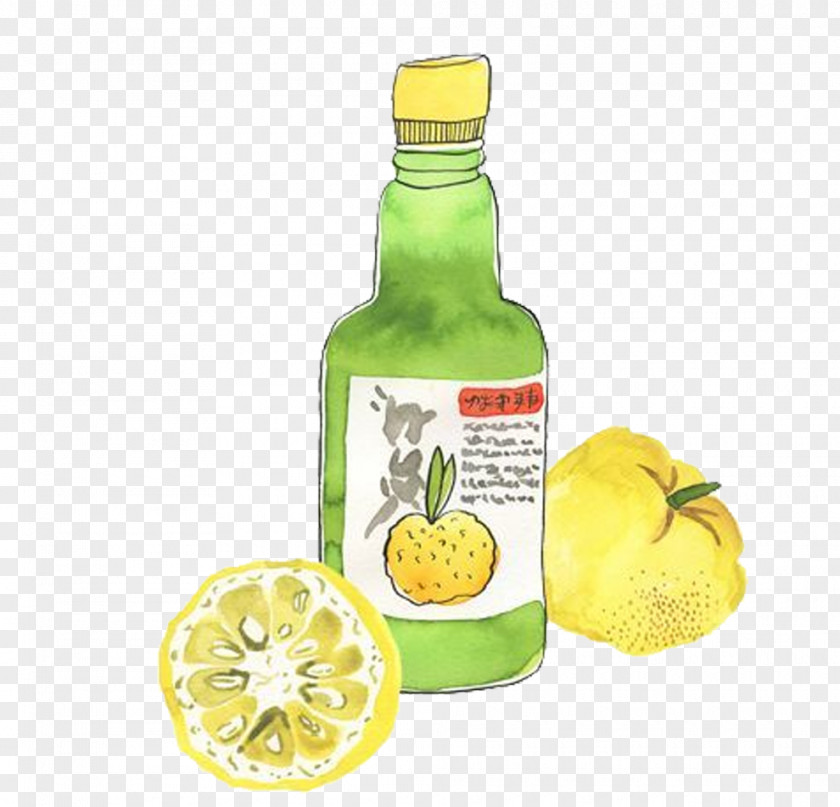 Hand-painted Juice Lemon-lime Drink Citrus Junos Food PNG