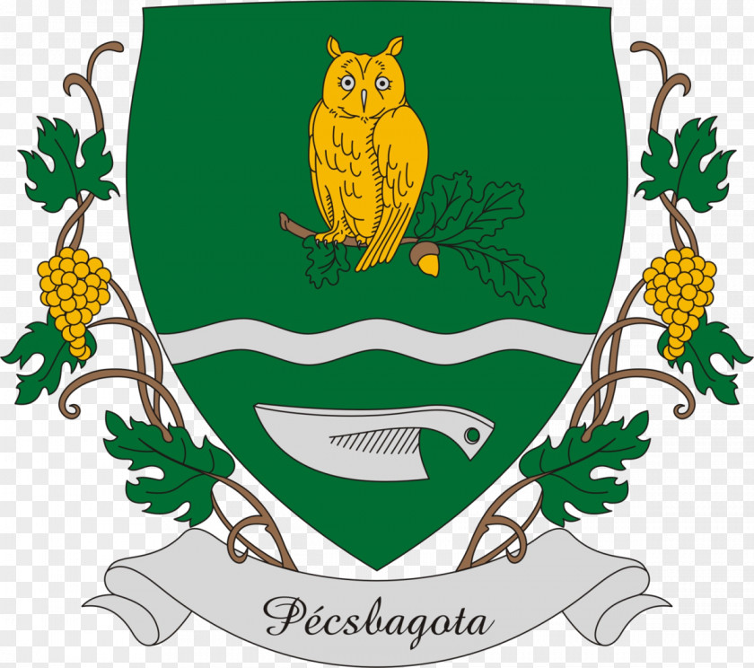Owl Coat Of Arms Wikipedia Heraldry Bagoly PNG