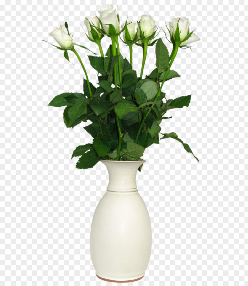 Transparent White Rose In Vase Picture Flower Clip Art PNG