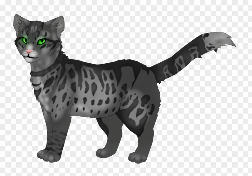 I Love My Mother Into The Wild Brindleface Warriors Tigerstar Brambleclaw PNG