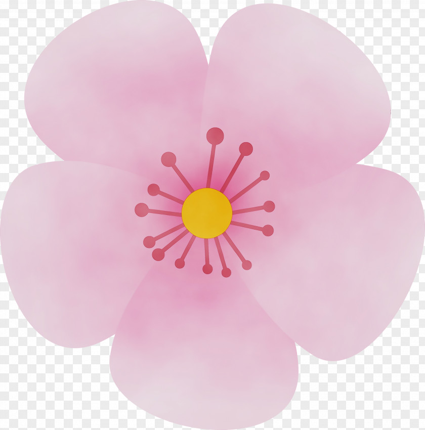 Petal Pink Flower Plant Wildflower PNG