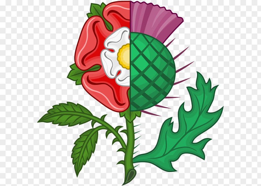 Rose Union Of The Crowns Scotland Tudor House PNG