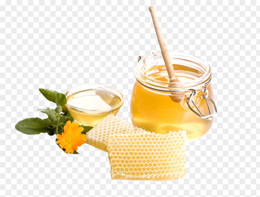 Bee Removal Honey PNG