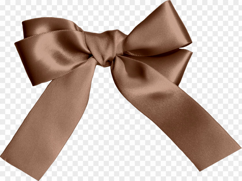 Bow Brown Color Clip Art PNG