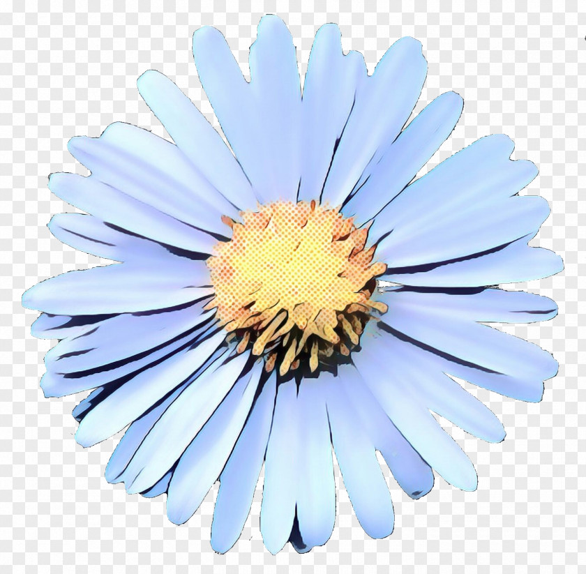 Common Daisy Chrysanthemum Flower Oxeye PNG