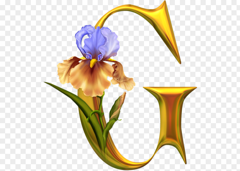 Flower Letter Alphabet Decoupage Clip Art PNG