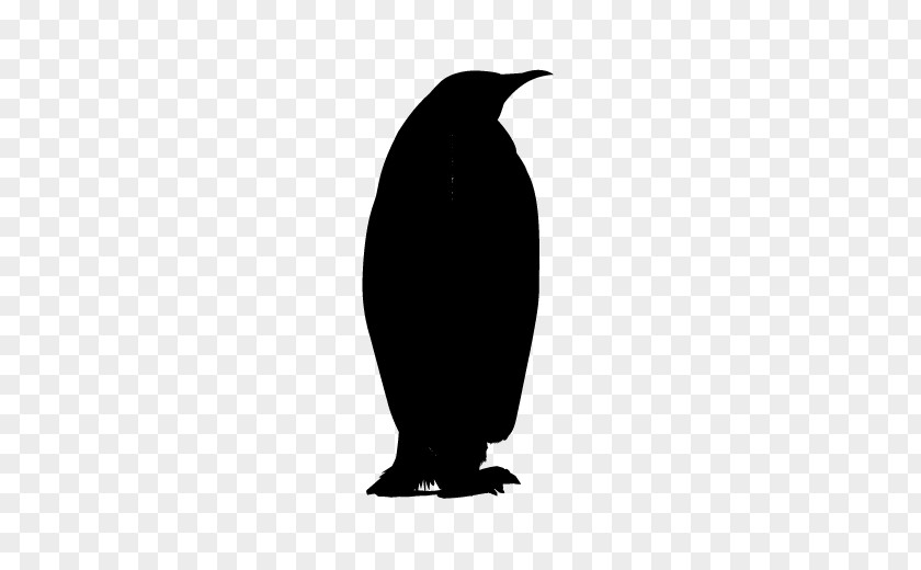 Penguin Fauna Silhouette Beak PNG