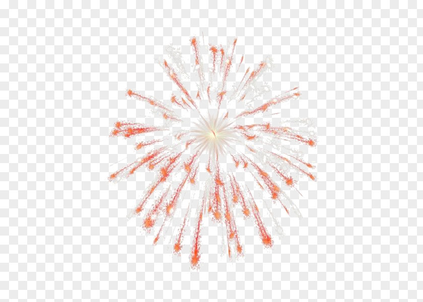 Persian New Year 2016 San Pablito Market Fireworks Explosion Clip Art PNG