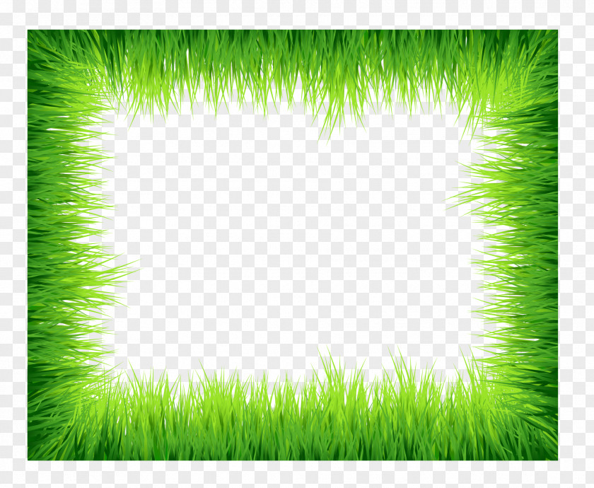 Vector Grass Borders Download Clip Art PNG