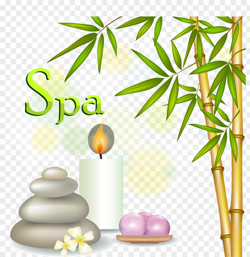 Bamboo Candle Products Bambusodae Icon PNG