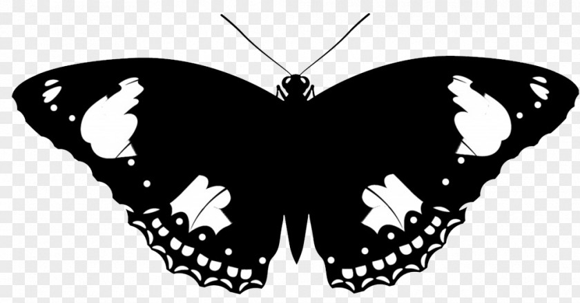 Butterfly Cliparts Silhouette Insect Clip Art PNG