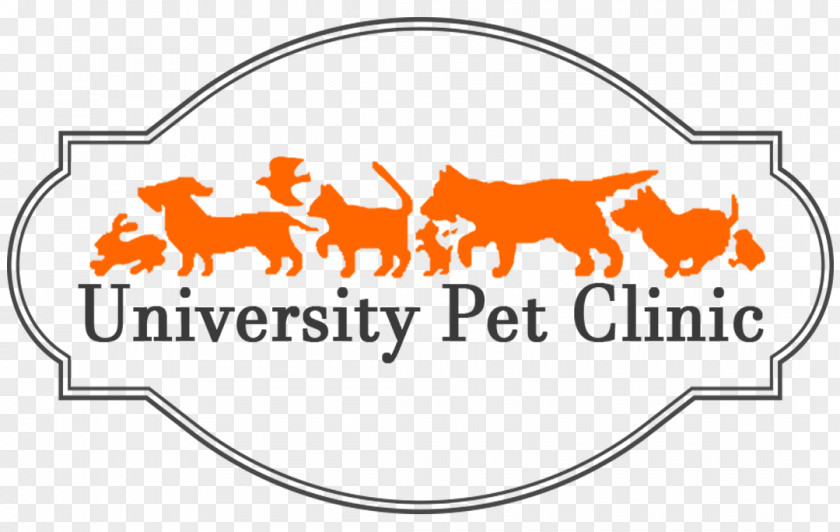 Dog University Pet Clinic Brunetto Massas Veterinarian Emergency Vet PNG
