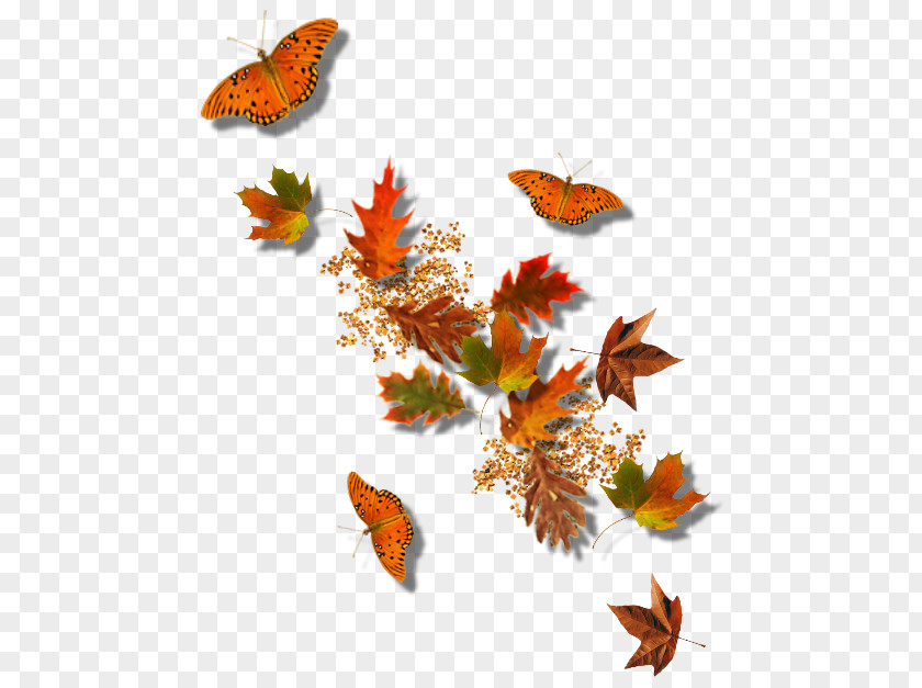 Falling Leaves And Butterflies Autumn Picture Frame Clip Art PNG