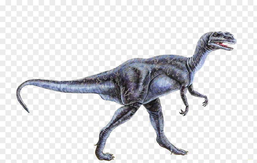 K3 Velociraptor Tyrannosaurus Dinosaur Fossils Stegosaurus PNG