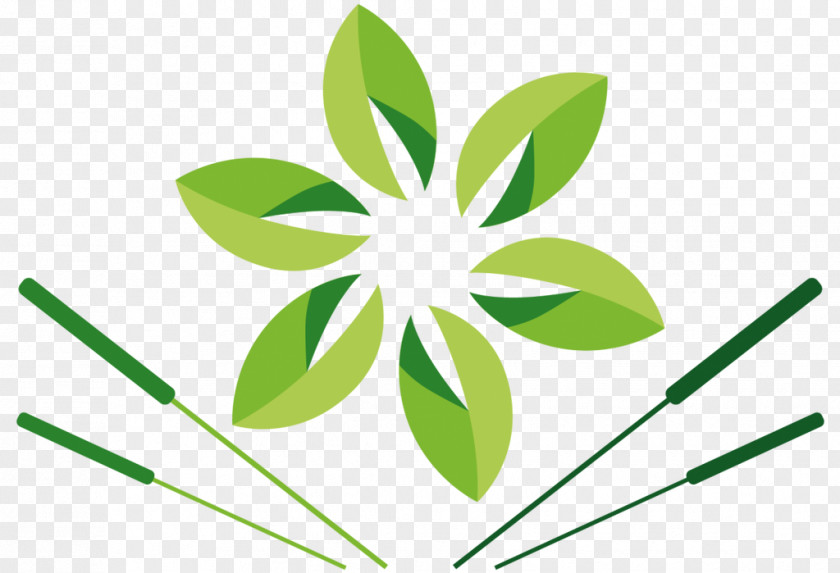 Leaf Grasses Plant Stem Tree Clip Art PNG