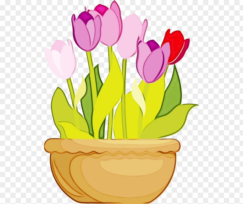 Magenta Lily Family Flowerpot Pink Flower Pot Tulip Houseplant PNG