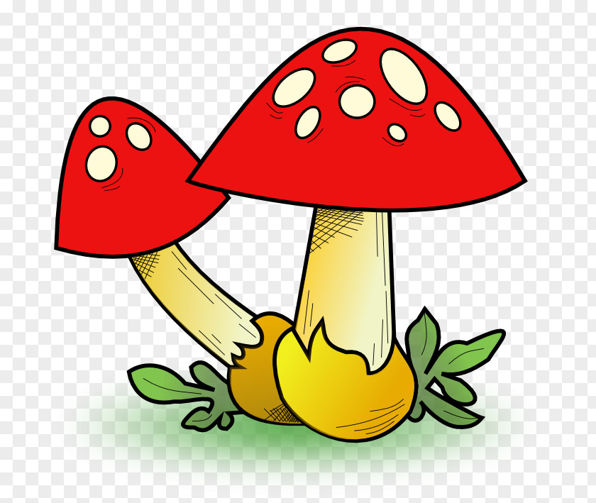 Mushroom Cliparts Edible Clip Art PNG