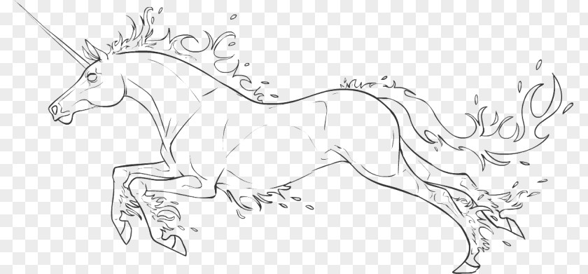 Mustang Line Art Pack Animal Drawing White PNG