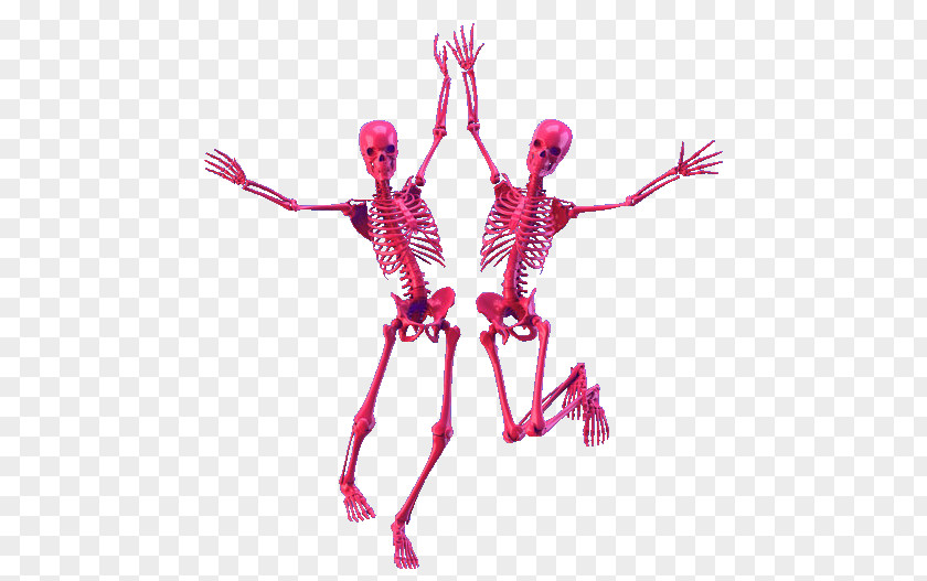 Skull Human Skeleton GIF Clip Art PNG