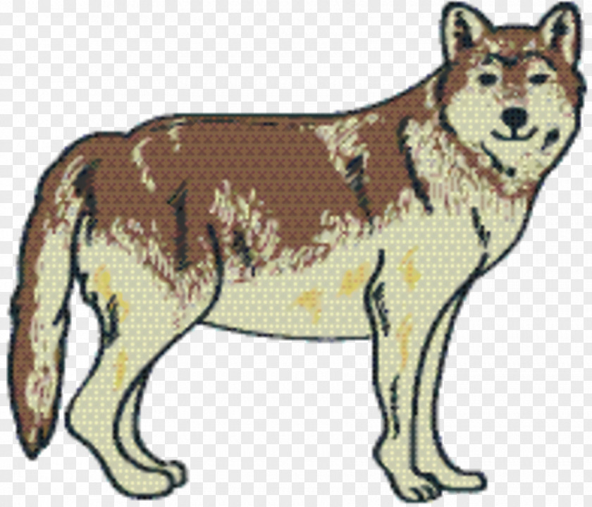 Wolf Canadian Eskimo Dog And Cat PNG