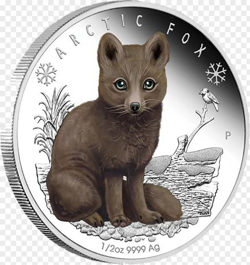 Coin Perth Mint Arctic Proof Coinage Infant PNG