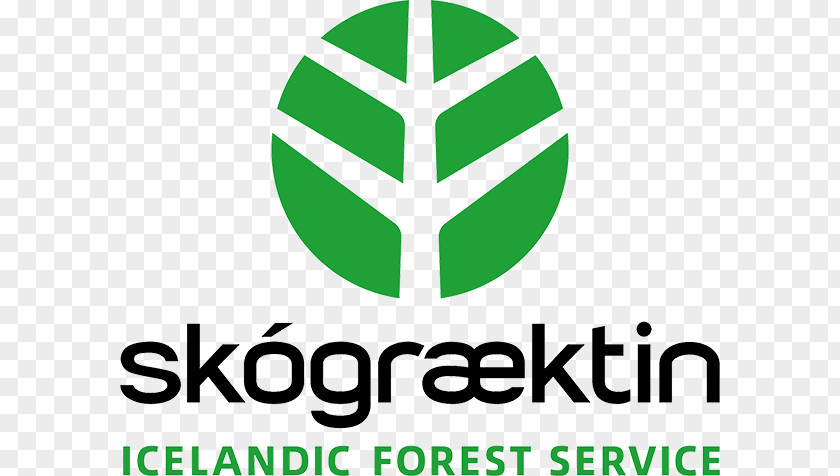 Forest Hallormsstaðaskógur Egilsstaðir Hallormsstaður Lagarfljót PNG
