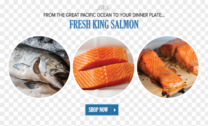 Fresh Salmon Seafood Fish Products Animal Source Foods PNG