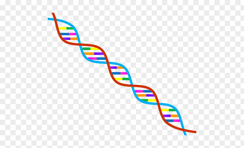Genealogical DNA Test Genetics Profiling Genetic Testing PNG