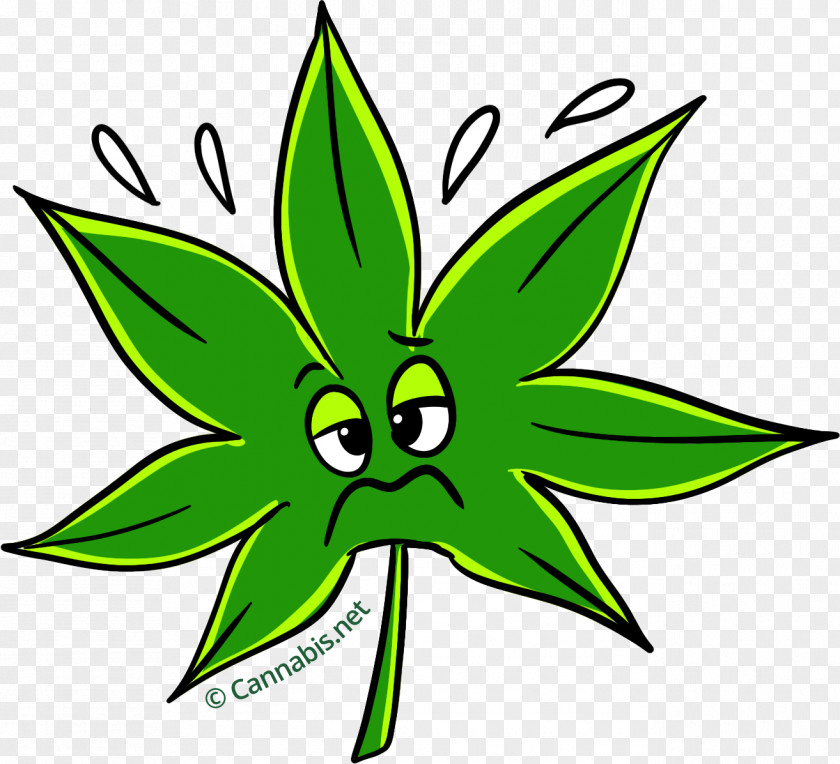 Leaf Cannabis Kush Thai Stick Clip Art PNG