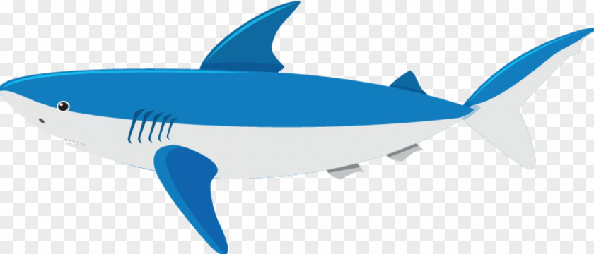 Tiger Shark Electric Blue Great White Background PNG