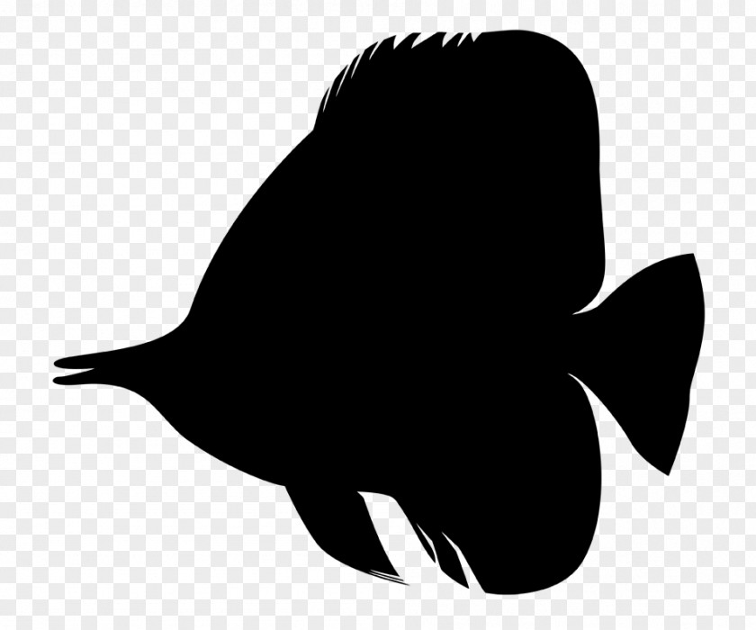 Beak Clip Art Fauna Silhouette Fish PNG