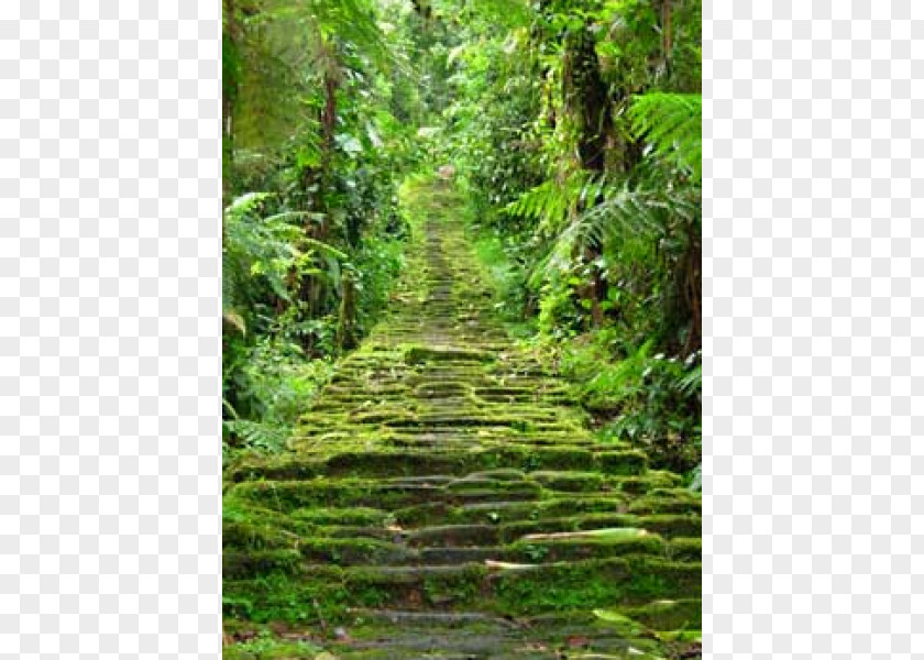 City Ciudad Perdida Sierra Nevada De Santa Marta Lost PNG