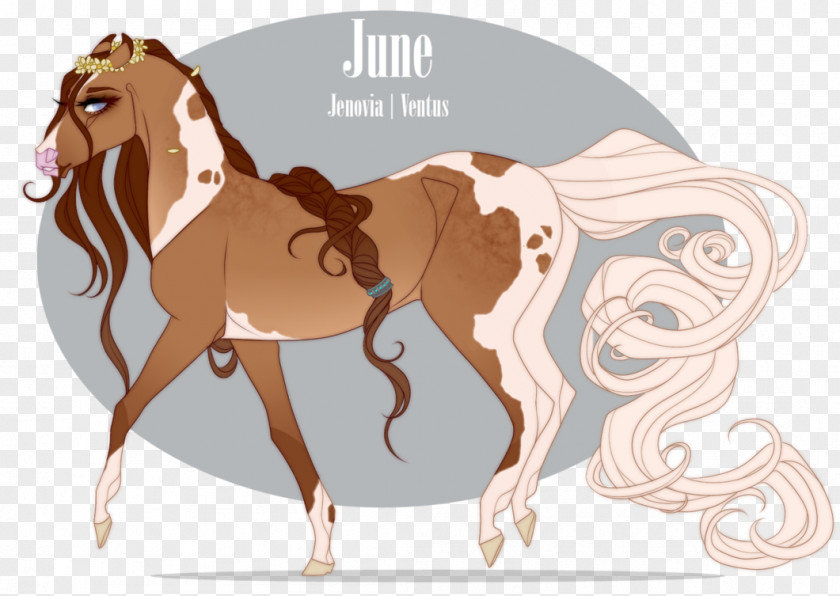Horse Drawing Mane Foal Mustang Stallion Colt PNG