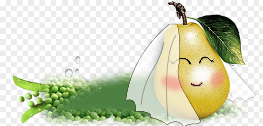 Pear Fruit Cartoon Food PNG