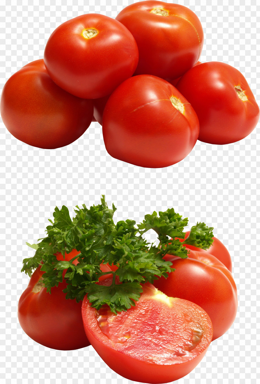 Tomato PNG clipart PNG