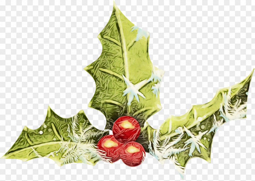 Tree Plane Holly PNG