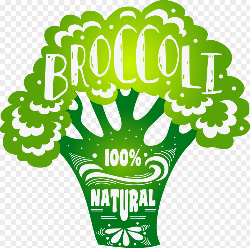 Vector Creative Cabbage Organic Food Broccoli Vegetable Veganism PNG