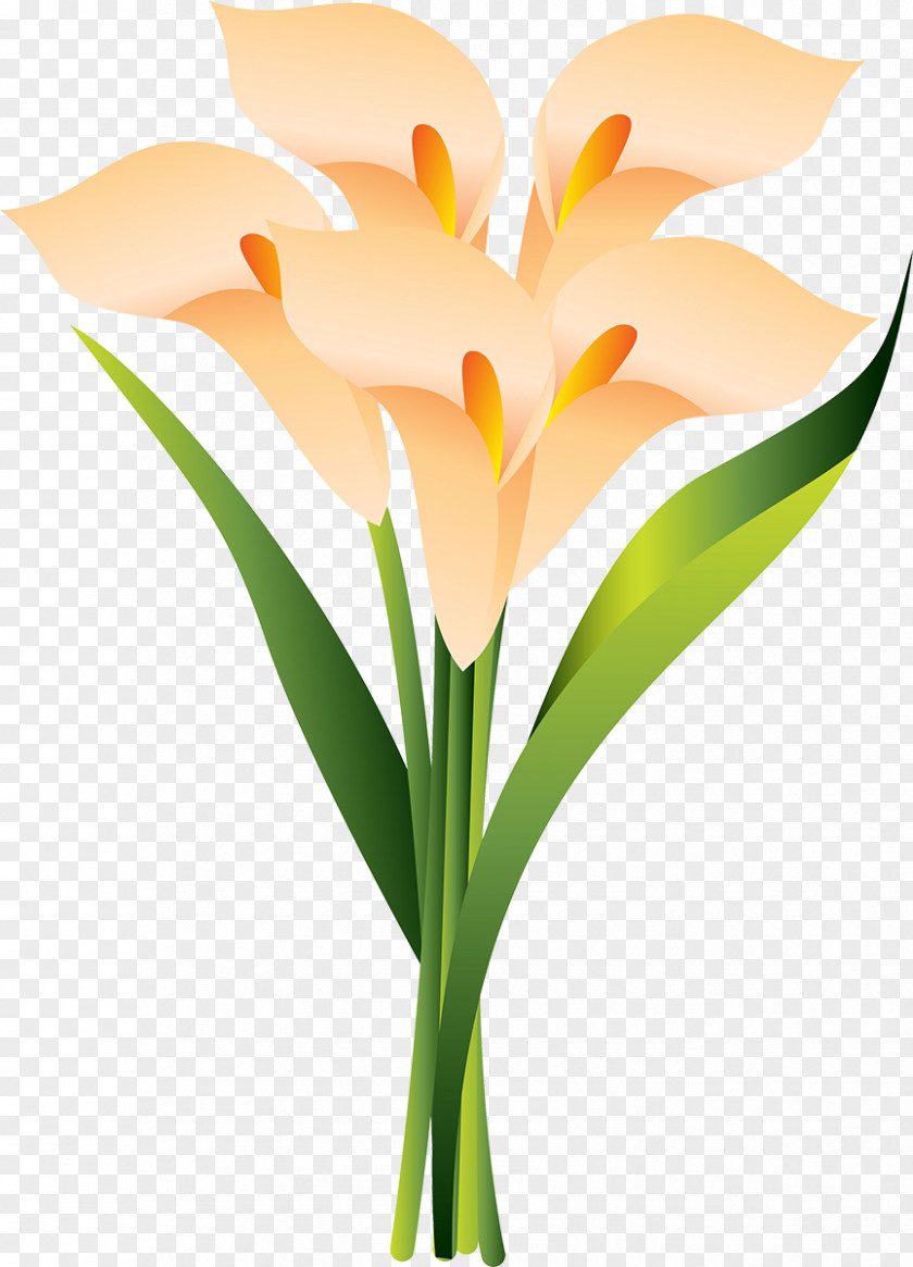 Design Floral Cut Flowers Plant Stem Flowerpot Clip Art PNG