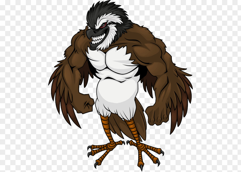 Eagle Bald Beak Cartoon PNG