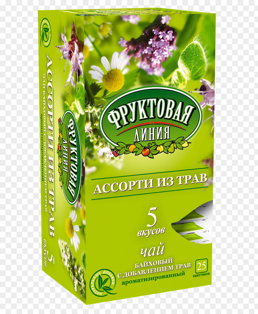 Fruit Tea Herbal Herbalism Taste PNG