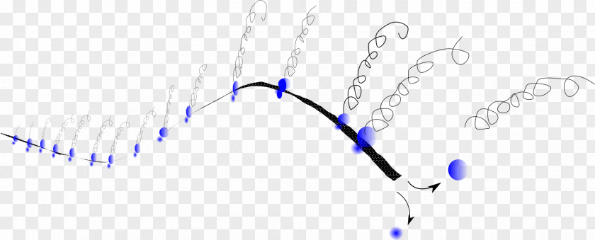 Molecular Biology Line Art Point Angle PNG